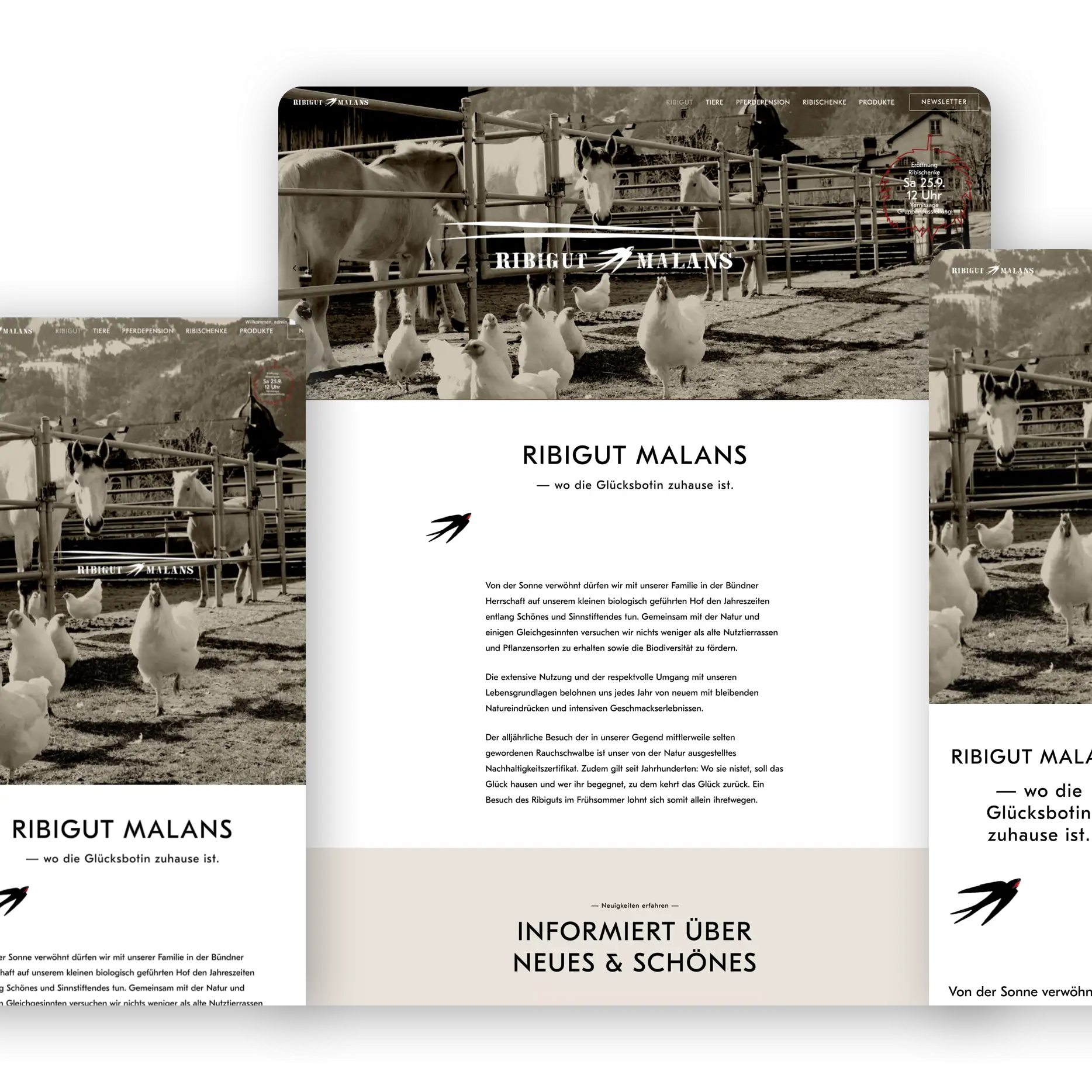 Website Ribigut Malans Umsetzung neuer Web Auftritt